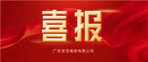 喜報丨堅寶被評為清潔生產(chǎn)企業(yè)